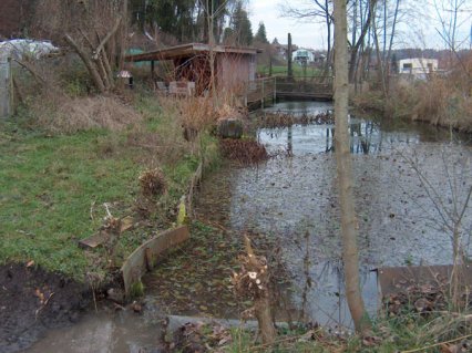 Bild zu Weiher, TÃ¼mpel â Pflege, Aufwertung