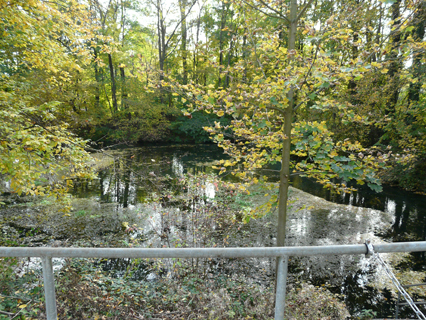 Bild zu 