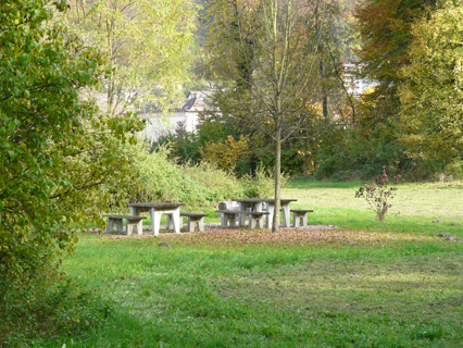 Bild zu 